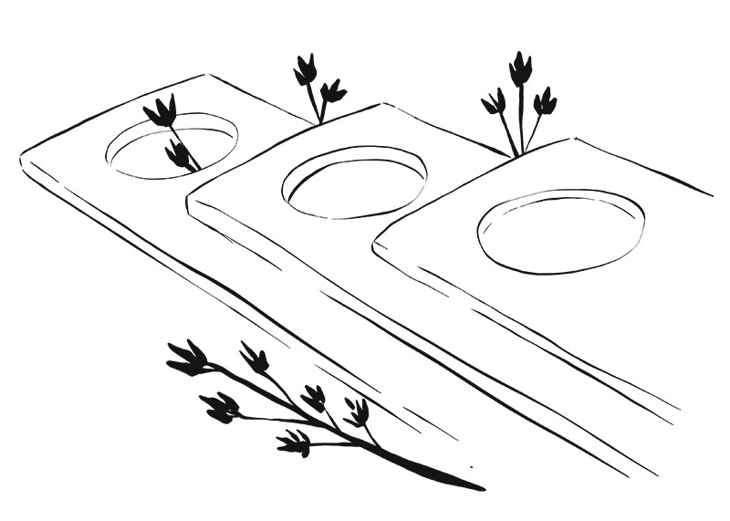 JS-Planches-Gris-BDef.png
