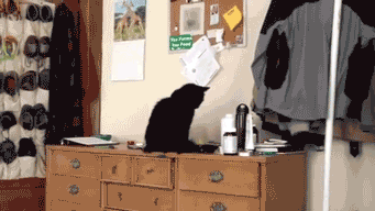 3317870304a34a00b0d8419b8e8e6060.gif
